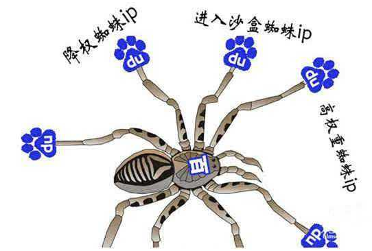 网站一直不收录怎么回事